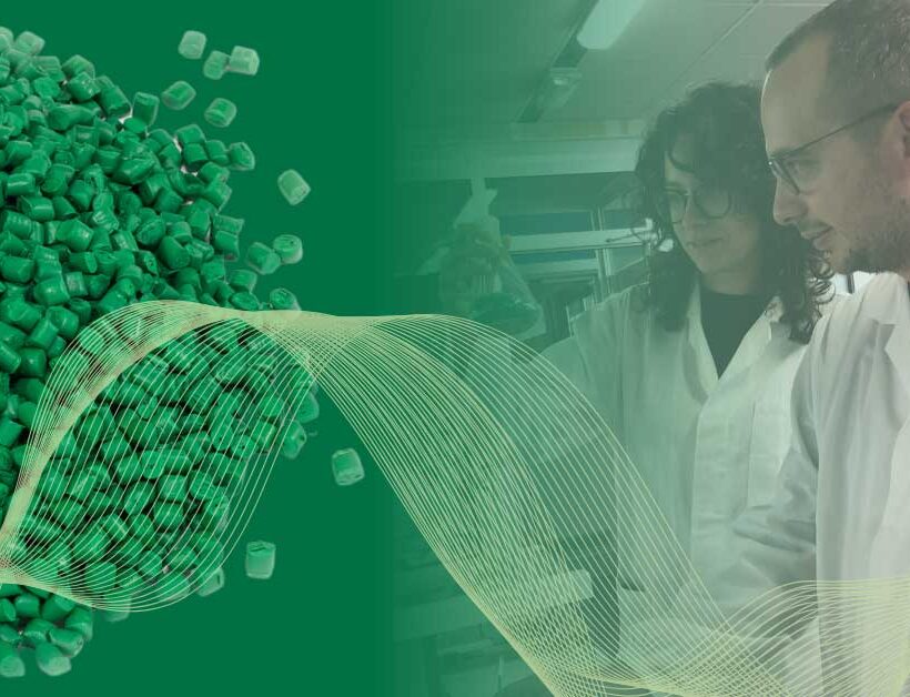 Immagine evocativa Sostenibilità ed economia circolare