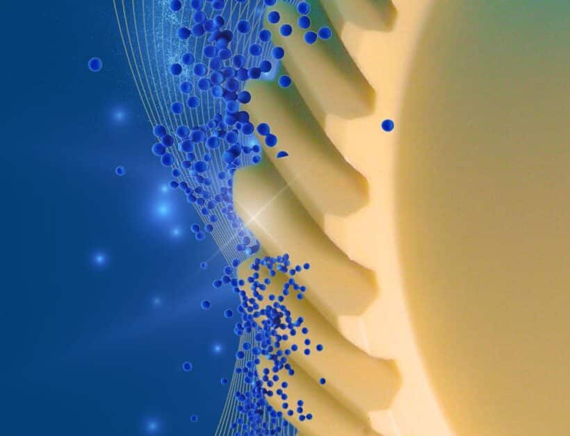 LATI-Webinar über selbstschmierende Compounds und die Eliminierung von PFAS mit detaillierten Informationen über nachhaltige Alternativen und tribologische Eigenschaften